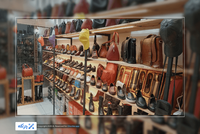 نرم افزار حسابداری تخصصی کیف و کفش فروشی